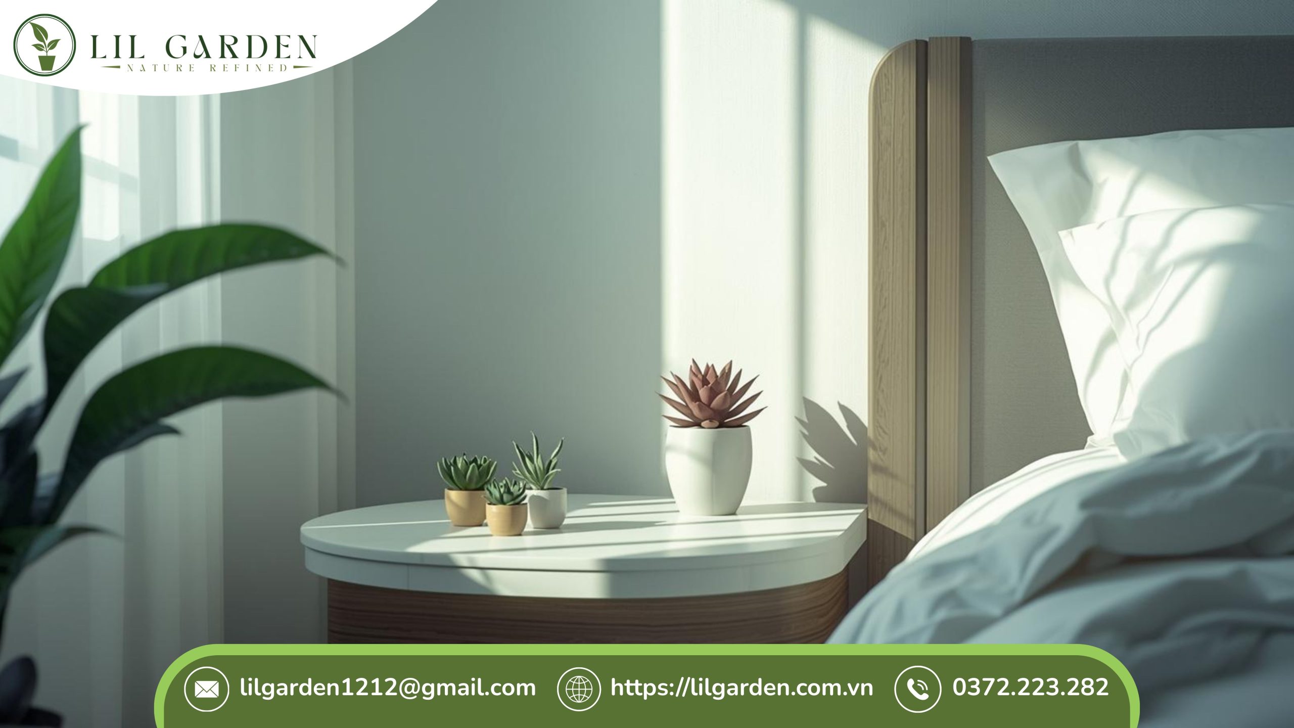 Cây sen đá có để trong phòng ngủ được không dưới góc nhìn khoa học