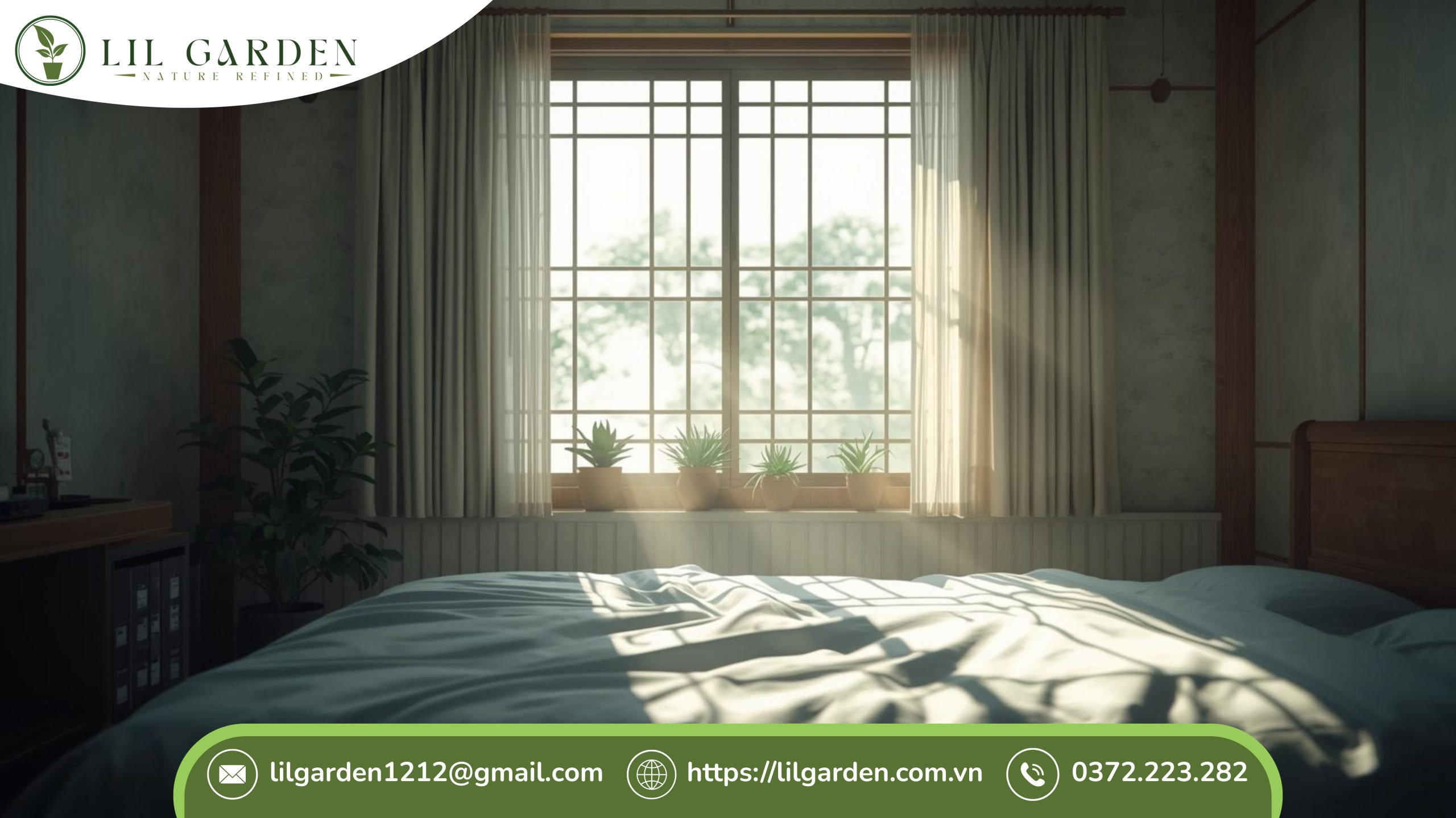 Cây sen đá có để trong phòng ngủ được không khi bố trí hợp lý