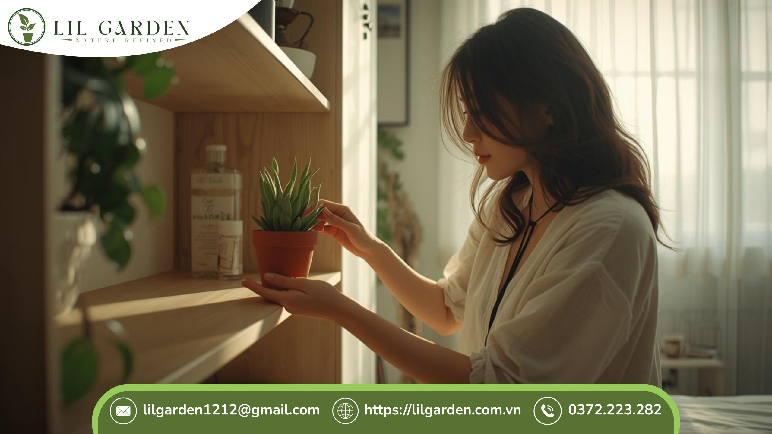 Cây sen đá có để trong phòng ngủ được không khi sinh hoạt hằng ngày