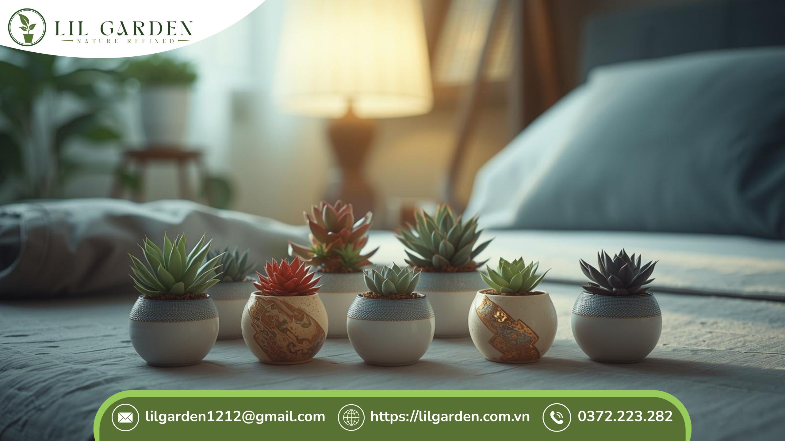 Cây sen đá có để trong phòng ngủ được không theo từng mệnh