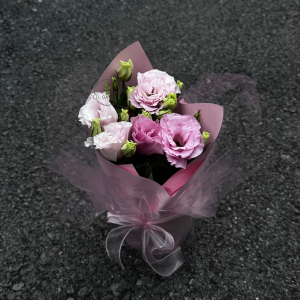 Bó hoa Lan Tường